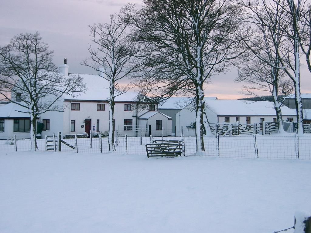 Bee Cottage Farm Guest House Consett Zewnętrze zdjęcie