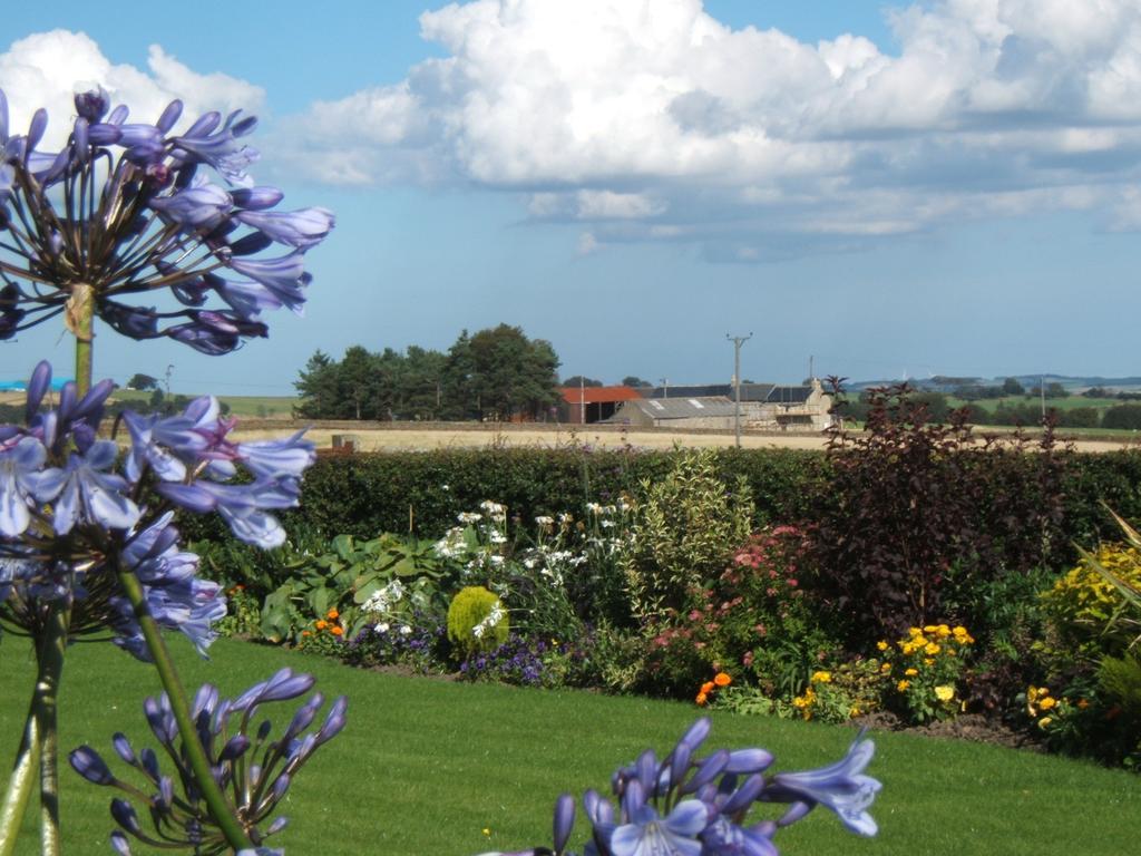 Bee Cottage Farm Guest House Consett Zewnętrze zdjęcie